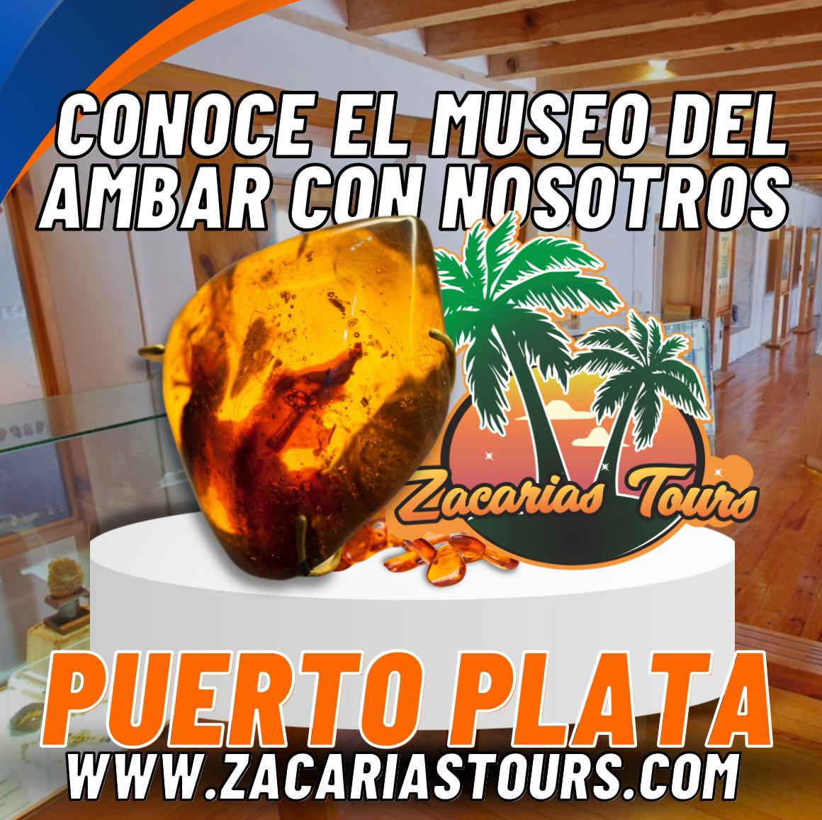 ‎Discover the charm of the Amber Museum with Zacarias Tours‎