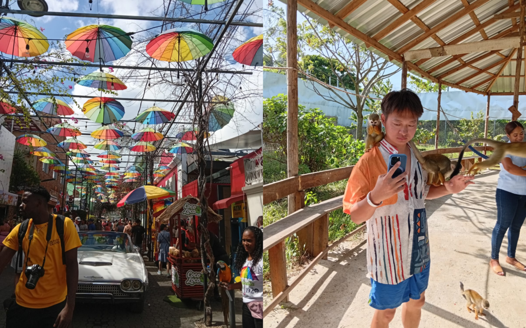 The Monkey Home & Puerto Plata City Tour Combo