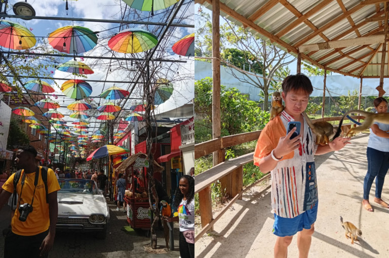The Monkey Home & Puerto Plata City Tour Combo