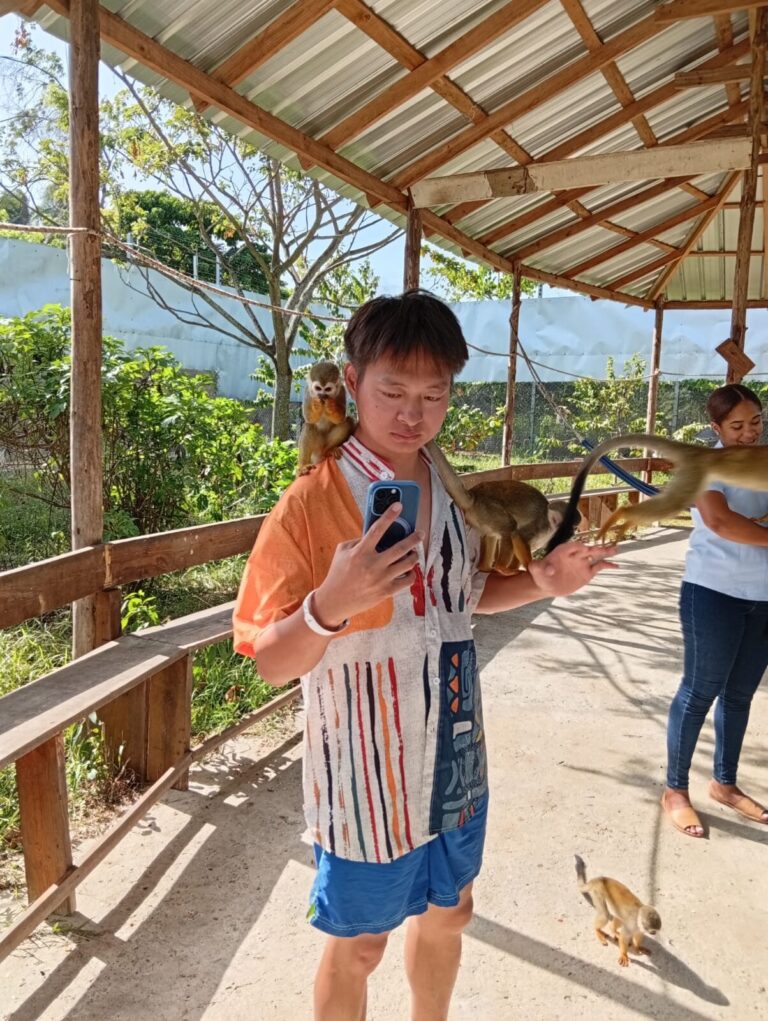 The Monkey Home: Tour de Naturaleza y Cultura